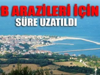 Sinop arazi