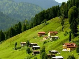 ayder yaylasi