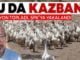 Kazbank