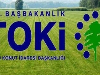 Toki ilde