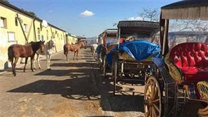Adalar Adalar