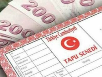 Web Tapu’ya Talep Yağdı