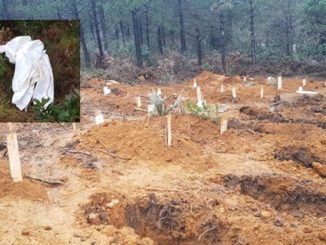 İBB’den Koronavirüs Mezarlığı