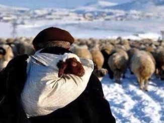 Zor Bir Hayat