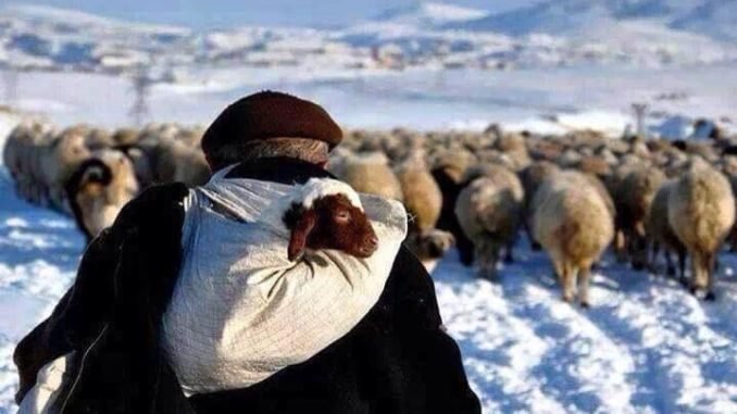 Zor Bir Hayat Zor Bir Hayat
