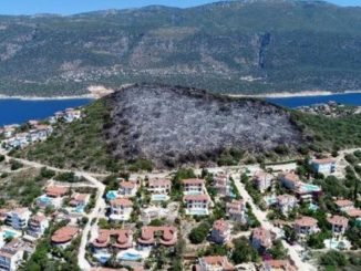 Antalya Kaş’ta Ağaçları Yanan Arazi İmara Açıldı