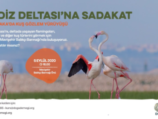 Gediz Deltasi