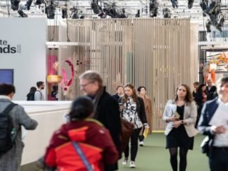 ambiente trends