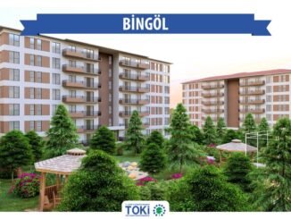 Bingol