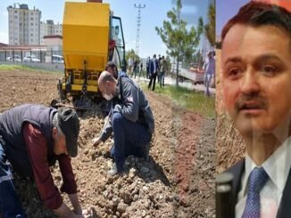 Ucretsiz arazi kimlere verilecek
