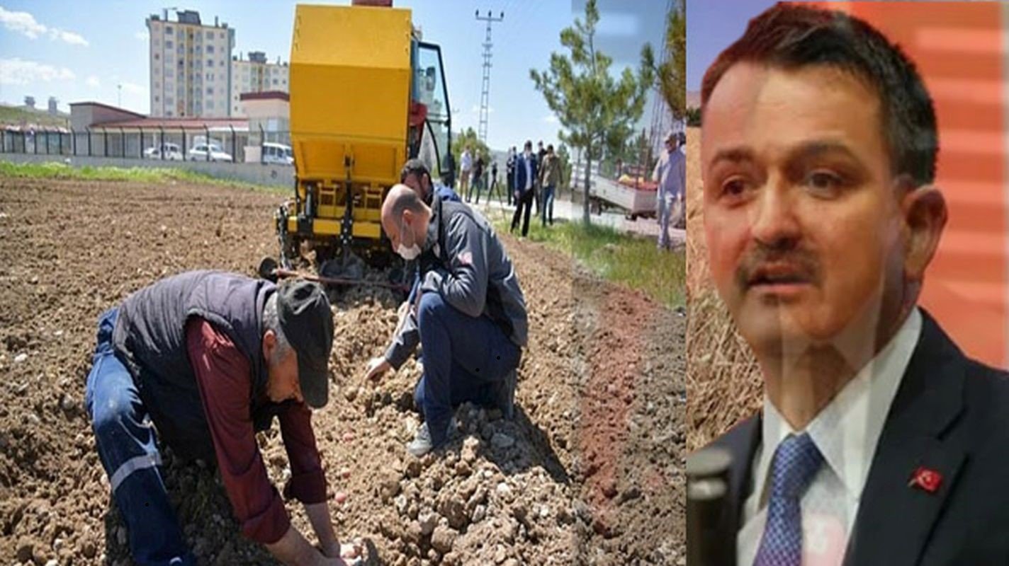 Ucretsiz arazi kimlere verilecek Ucretsiz arazi kimlere verilecek