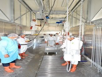 Izmir Kurban Satis ve Kesim Yerleri