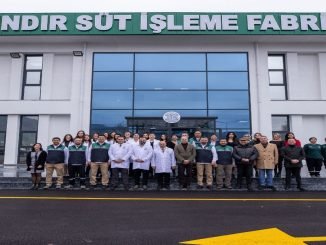 Sut Isleme Fabrikasi
